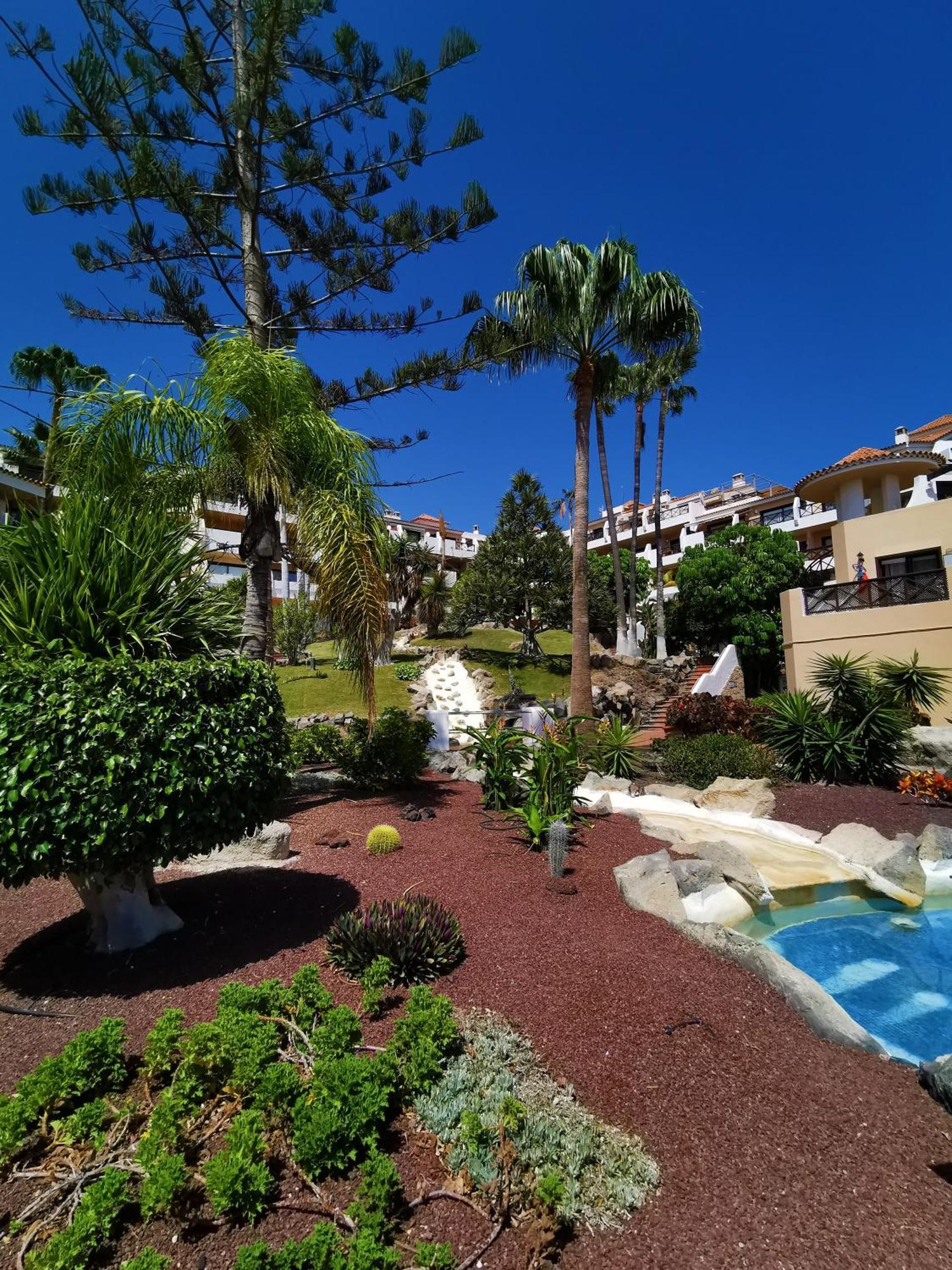Strelitzia Apartment - Ocean View & Heated Pool 圣米格尔德阿沃纳 外观 照片