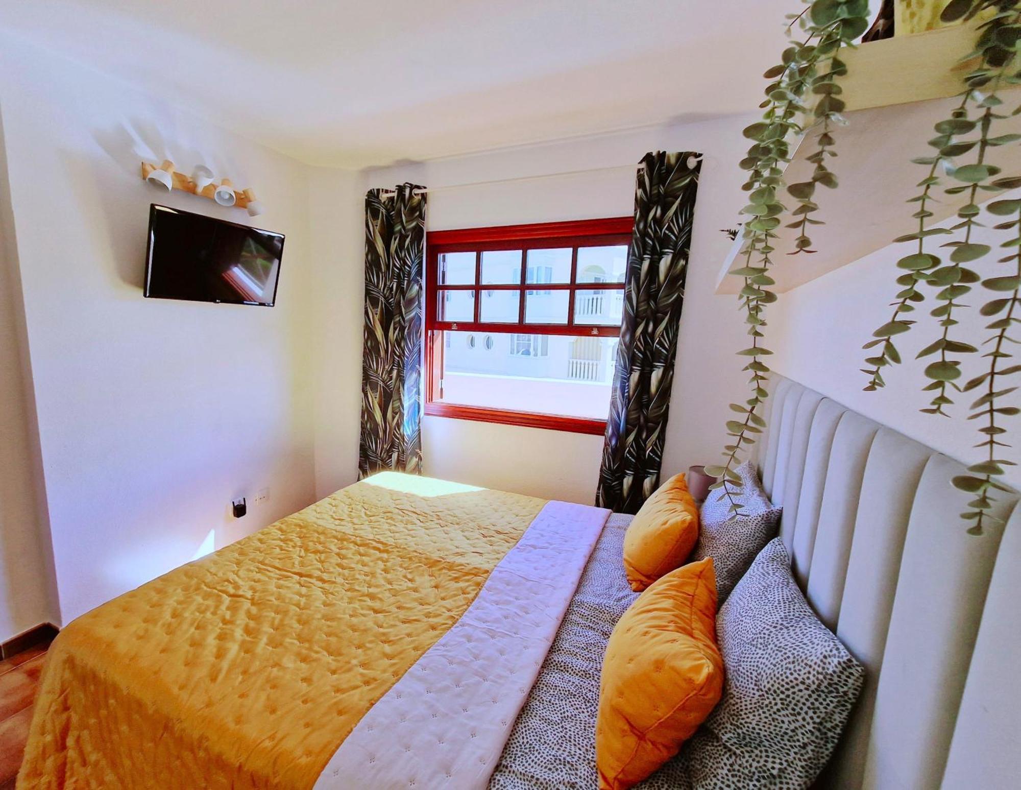 Strelitzia Apartment - Ocean View & Heated Pool 圣米格尔德阿沃纳 外观 照片